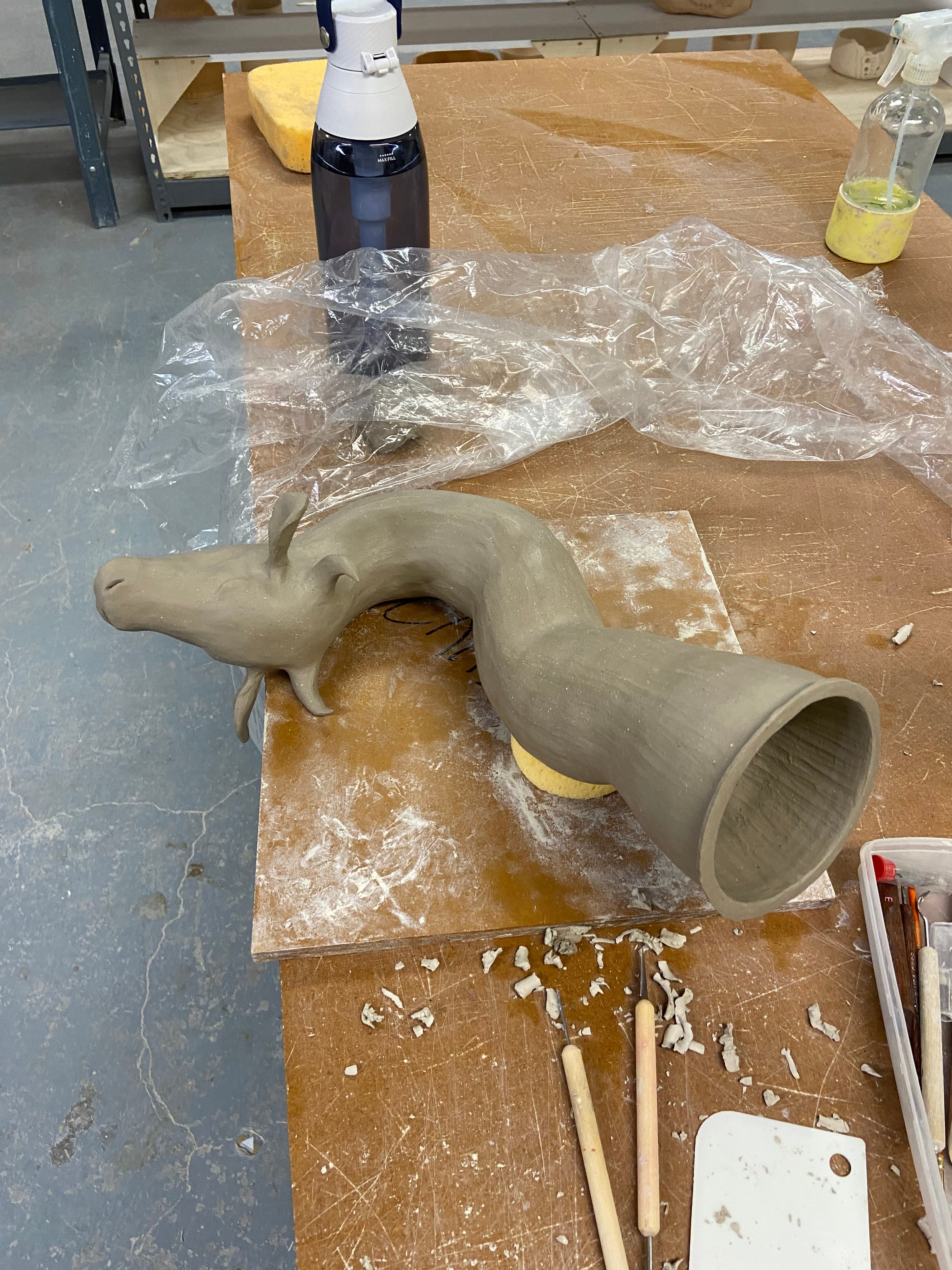 Project image