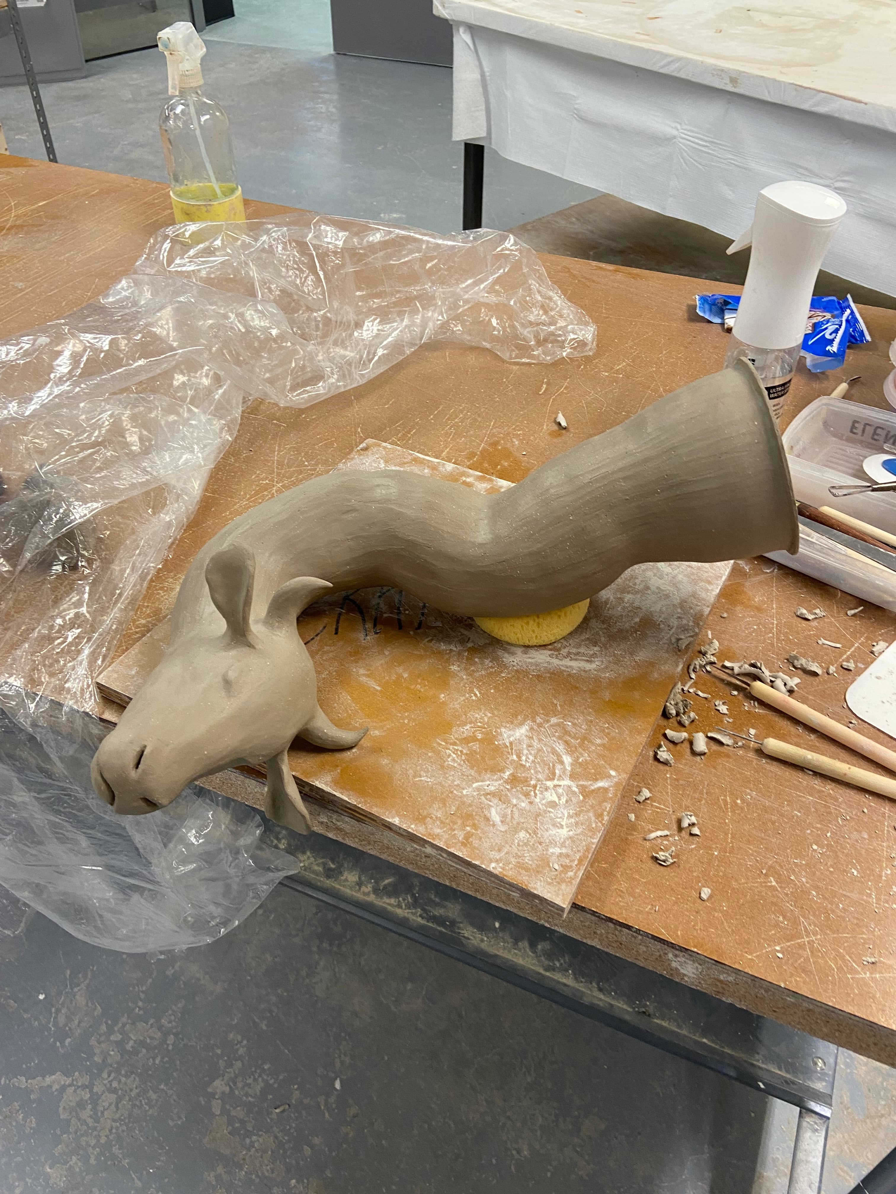 Project image